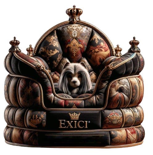 Royal Companion Throne - Exici