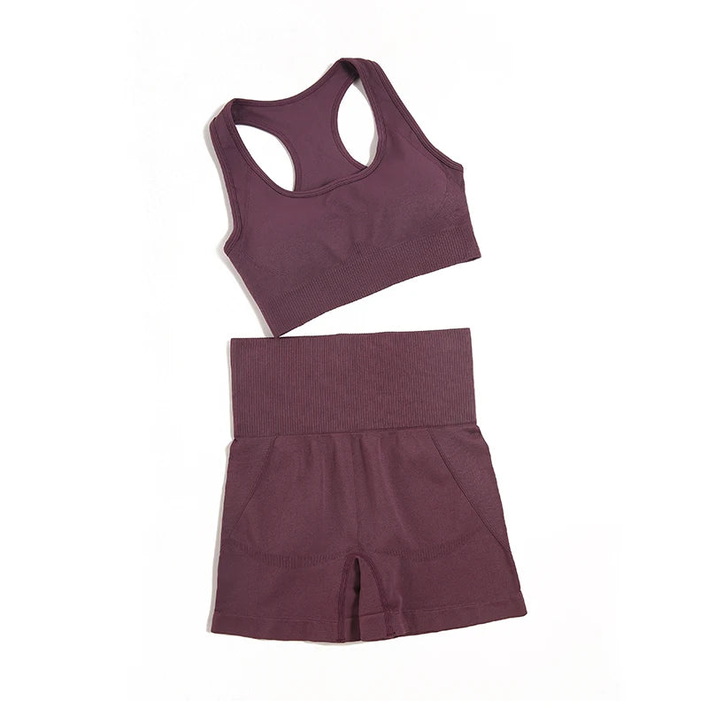 Seamless High-Waist Yoga Set for Women – Sculpting Gym Leggings & Sports Bra Workout Suit