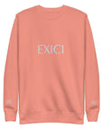 Timeless Emblem Plush Pullover - Exici